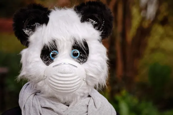 Rollers Kasino Podpora